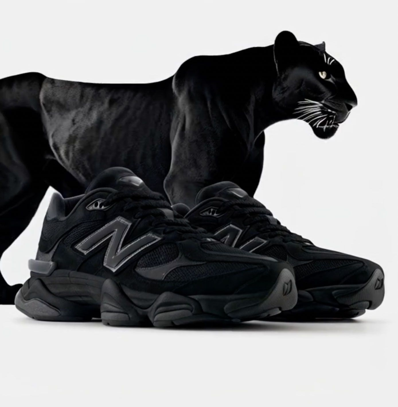 9060 "Schwarze Katze" (Pre-Black Friday)